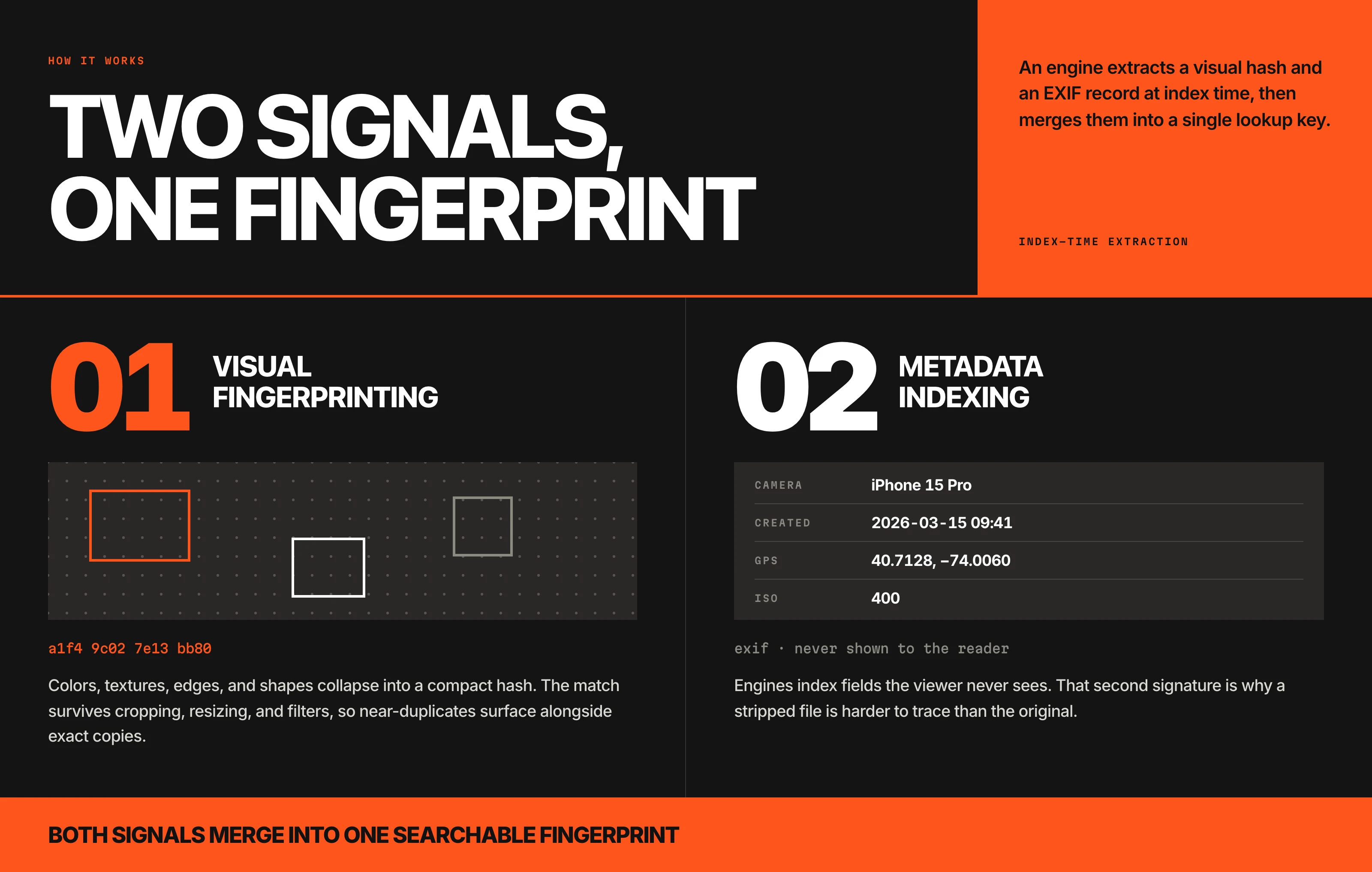 Diagram titled Two signals, one fingerprint. Step 01, visual fingerprinting: colors, textures, edges, and shapes collapse into a compact hash such as a1f4 9c02 7e13 bb80, and the match survives cropping, resizing, and filters. Step 02, metadata indexing: EXIF fields the viewer never sees, including camera iPhone 15 Pro, created 2026-03-15 09:41, GPS 40.7128 and minus 74.0060, and ISO 400. Both signals merge into one searchable fingerprint.